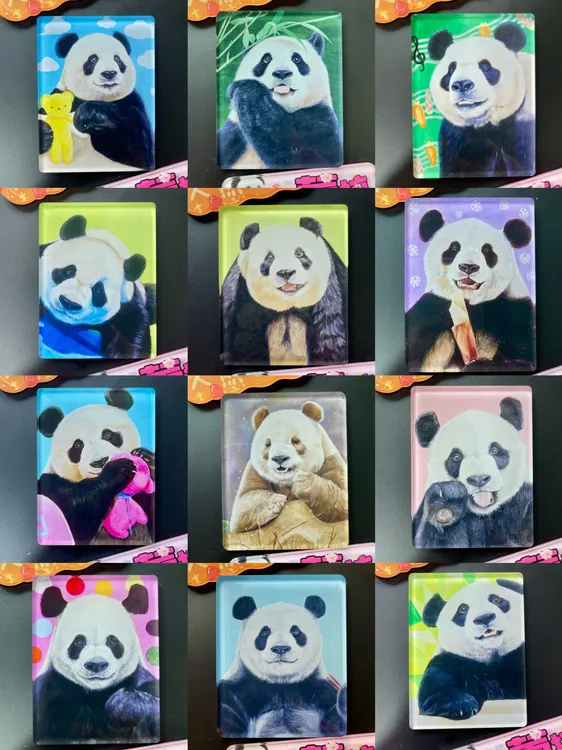 【画画的蕾拉】满35包邮。手绘大熊猫油画冰箱贴亚克力长方形加厚