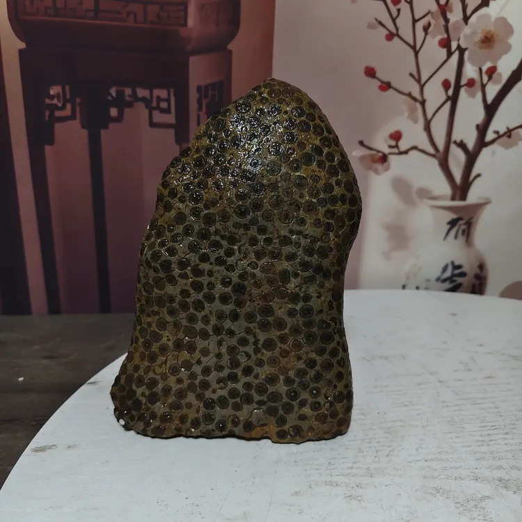 灵璧石金钱石直播间实物为准的精美摆件