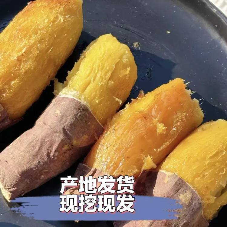 云南高原新鲜现挖正宗榴莲蜜薯软糯香甜红薯