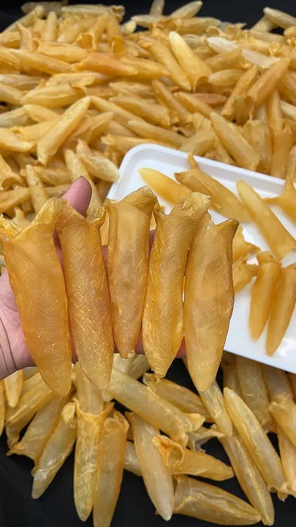 ［英海堂滋补］黄花筒45头 鱼胶黄花胶煲汤炖奶孕妇产后坐月子疲乏