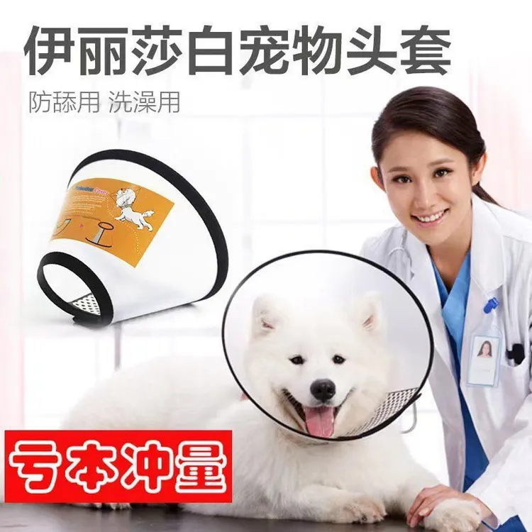 宠物猫狗防护项圈日韩风格塑料材质美容防咬圈