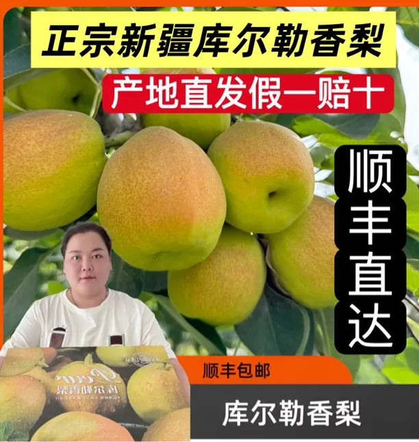 原产地新疆库尔勒香梨正宗现摘现发新鲜多汁皮薄酥脆礼盒装