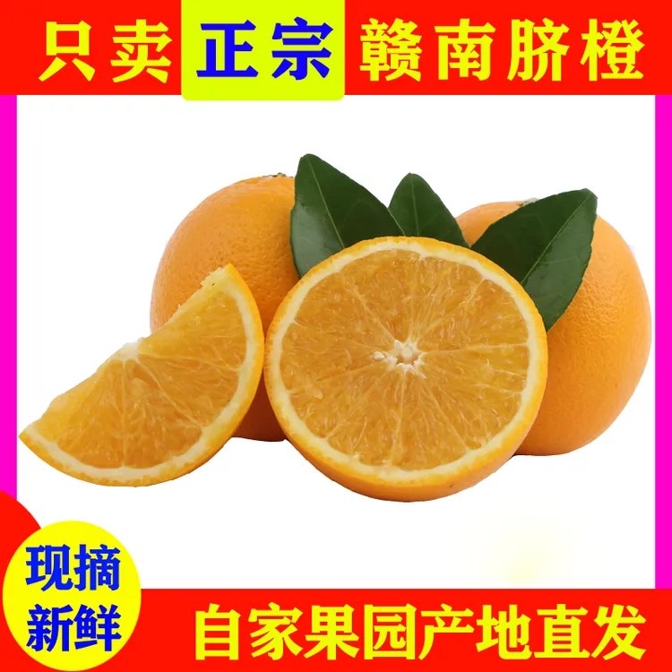 正宗江西赣南脐橙新鲜采摘寻乌橙子当季水果赣州甜橙包邮5斤10斤