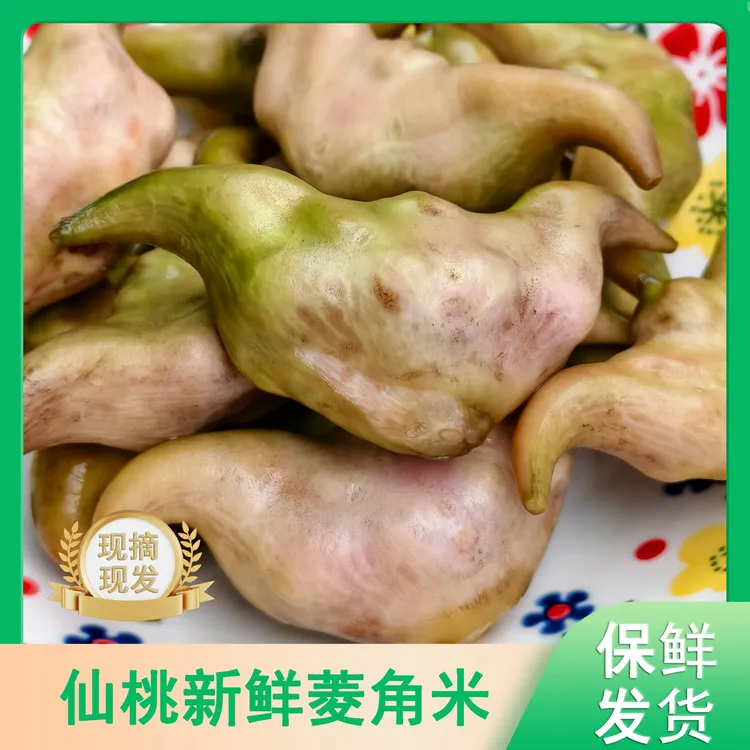 湖北特产新鲜现摘现发生吃嫩菱角清甜脆嫩粉糯老菱角水生蔬菜