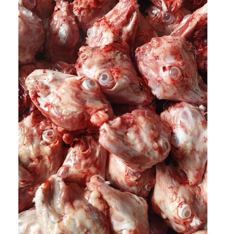 新鲜兔头冷冻兔头现杀新鲜冷冻兔头