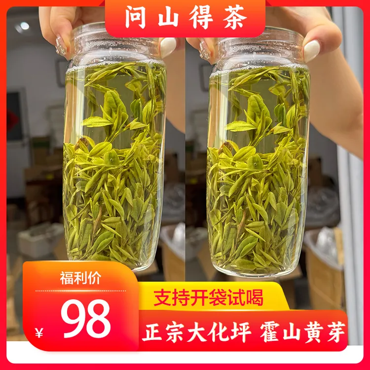【2025年新茶】霍山大化坪黄芽原产地黄芽 鲜爽回甘的原产地好茶