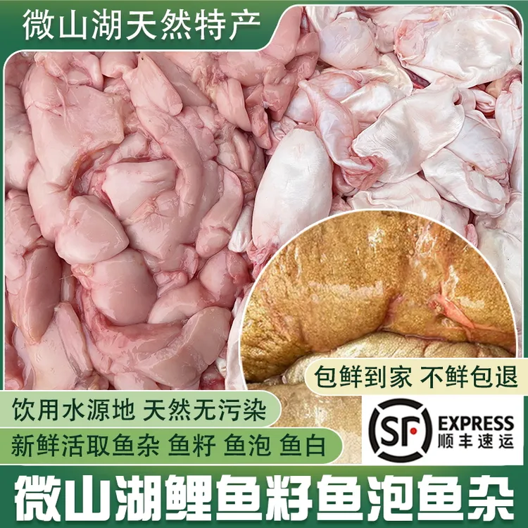 微山湖新鲜鱼杂鲤鱼鱼泡鱼籽鱼白鱼宝鱼子鱼精鱼油生鲜商用发顺丰