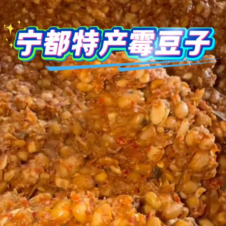 宁都特产霉豆子拌饭拌面开胃