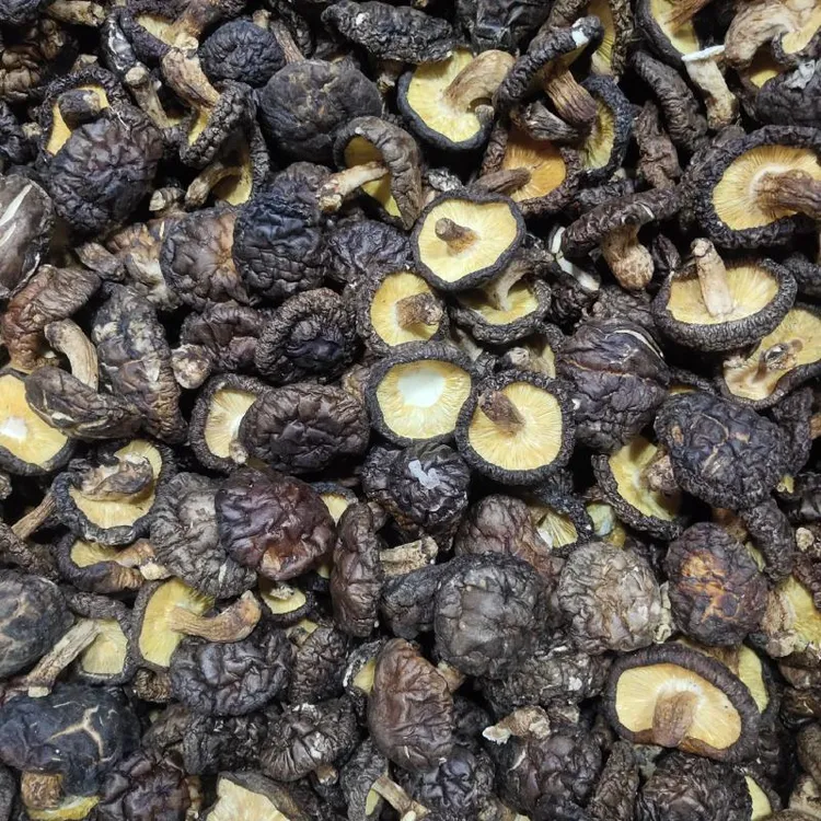 武陵山高山薄香菇干香信菇