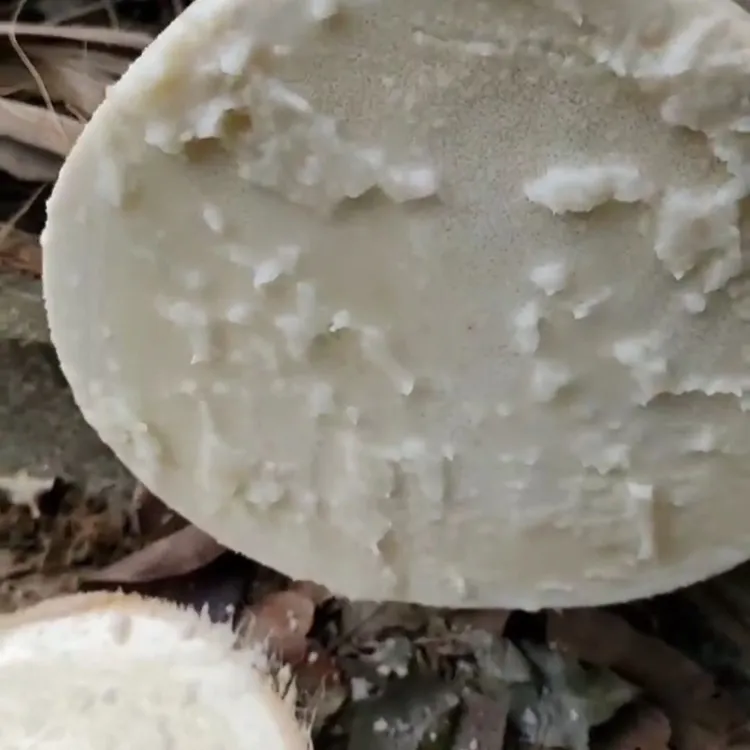 蜂蜜牛奶椰子芯椰树芯树心包甜口感清脆生吃煲汤源头现砍现发