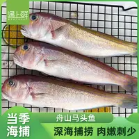 遇上鲜 舟山野生马头鱼 方头鱼 深海鱼 新鲜速冻 产地直发