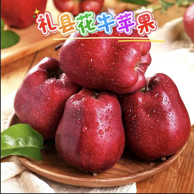甘肃礼县花牛苹果新鲜采摘脆粉两吃6斤左右/箱12个装顺丰包邮