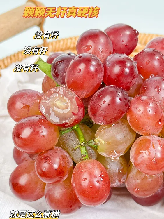 【整串装】辽宁北镇玫瑰香葡萄纯甜口齿留香自然完熟无涩口