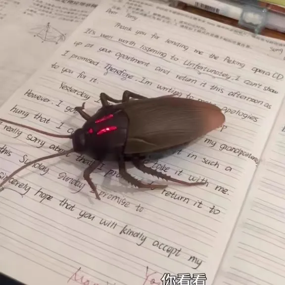 遥控蟑螂玩具仿真动物遥控红外线整蛊逗猫小玩具搞怪小强模型玩具