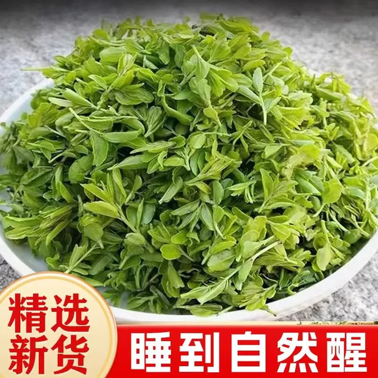 野生酸枣芽茶新茶嫩芽手工炒制可泡水地道特产
