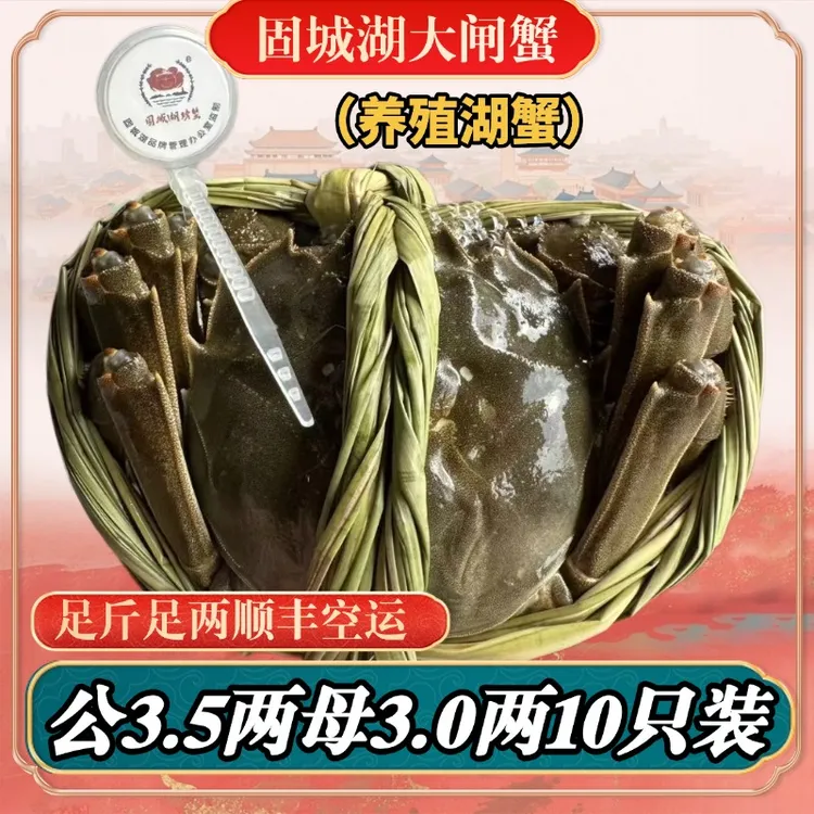 [活蟹]江苏固城湖大闸蟹公3.5两母3.0两8只10只装顺丰包邮