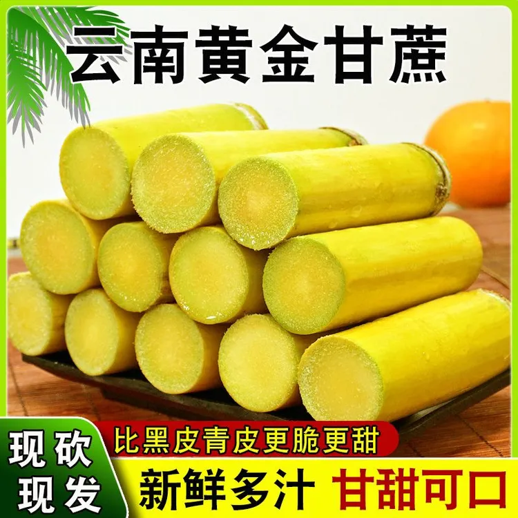 正宗云南黄金甘蔗当季新鲜手撕黄皮甘蔗水果脆甜多汁包邮