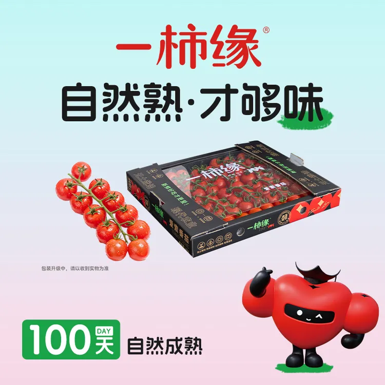 一柿缘【串收小番茄】自然成熟礼盒一口爆浆酸甜多汁水果车厘顺丰