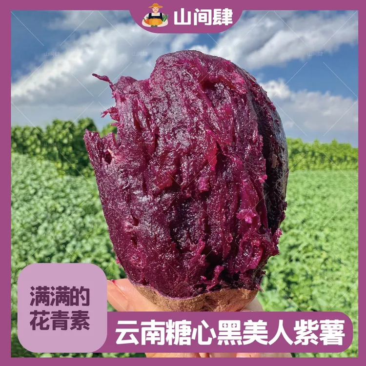 山间肆黑美人紫薯·糖心紫薯云南高原老品种紫薯软糯不干噎