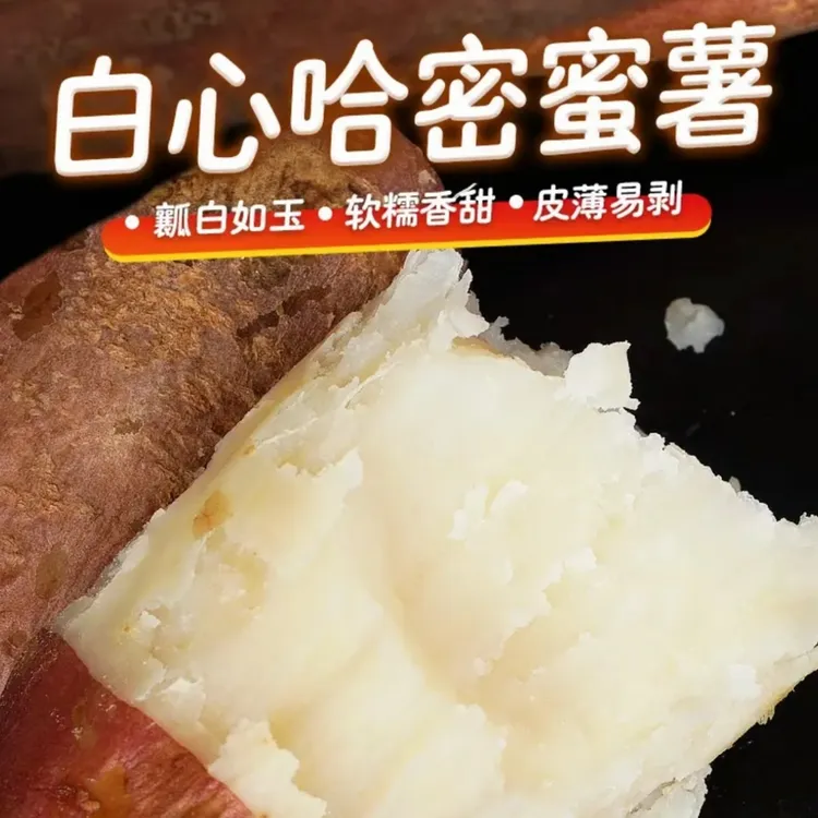 亏损100单精品果软糯甜新鲜现挖正宗哈密冰糖心白薯粉糯坏果包赔