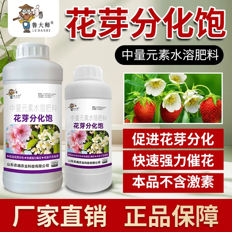 鲁大师花芽分化宝饱促花催花座果灵瓜果蔬菜保花保果水溶肥料正品