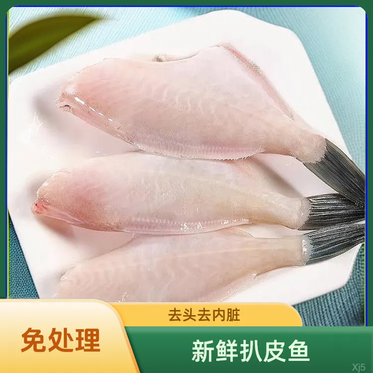 新鲜海鲜扒皮鱼冷冻大中小老鼠鱼剥皮鱼马面鱼耗儿鱼包邮无头鱼
