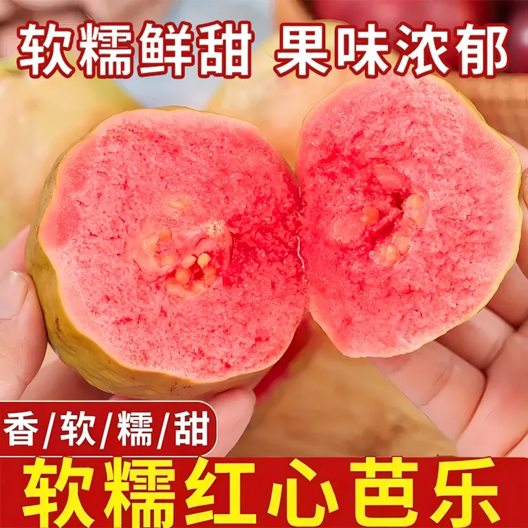 福建红心草莓芭乐大果白肉奶油软糯甜巴番石榴现摘新鲜水果孕妇