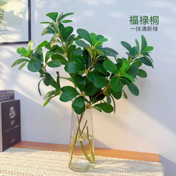 仿真豆辦叶福禄桐仿真绿植过胶绿叶森系植物装饰拍照道具绿植树叶