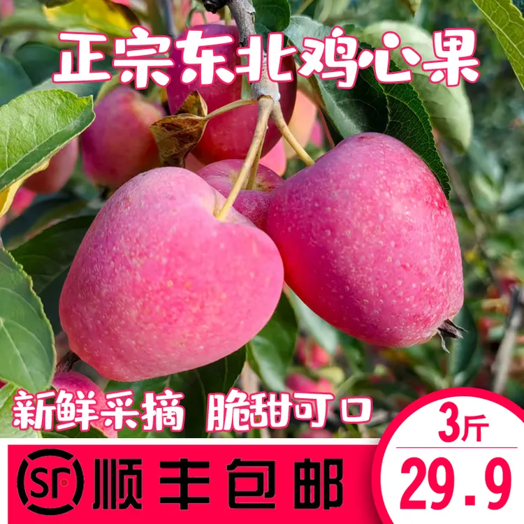 【顺丰包邮】东北特产鸡心果新鲜采摘脆甜多汁现摘现发
