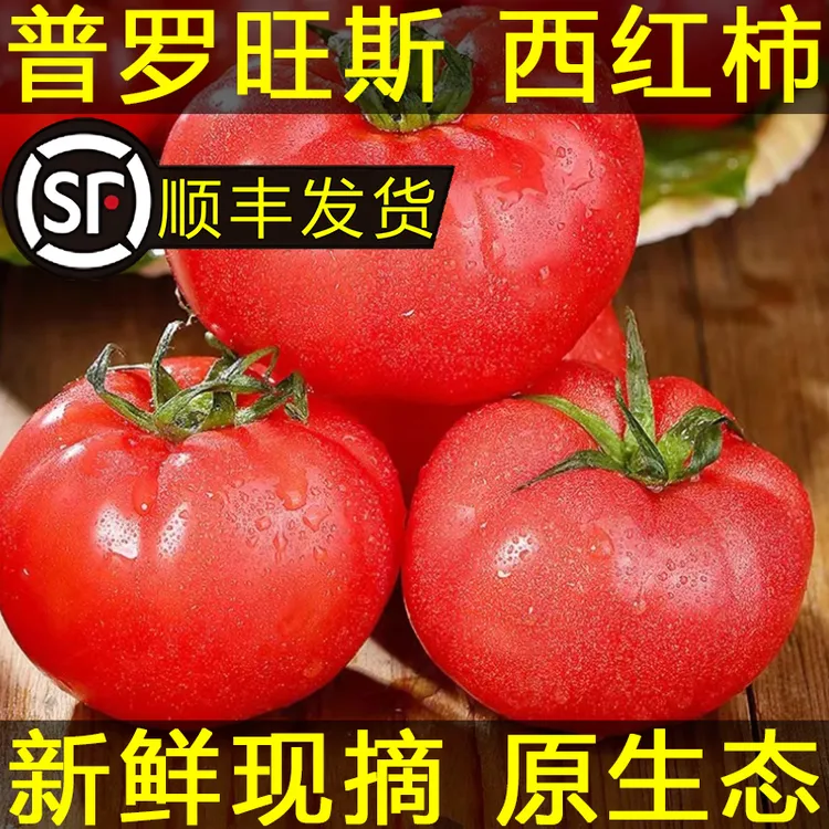 【顺丰】正宗山东普罗旺斯西红柿沙瓤柿子生吃酸甜可口番茄