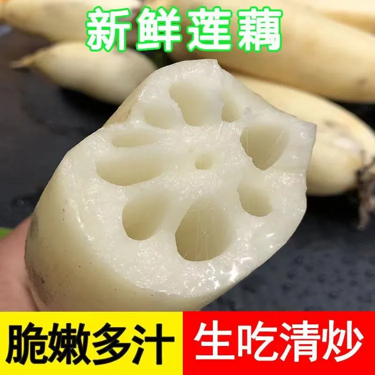 新鲜莲藕湖北农家自种应季新藕九孔脆莲藕清炒凉拌藕段火锅食材