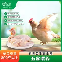 【农贝贝】玉林三黄土鸡800g以上单只装/两只装 地标产品