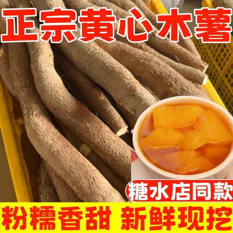 广西新鲜现挖黄心木薯鸡蛋板栗当季黄肉面包木薯糖水店同款木薯羹