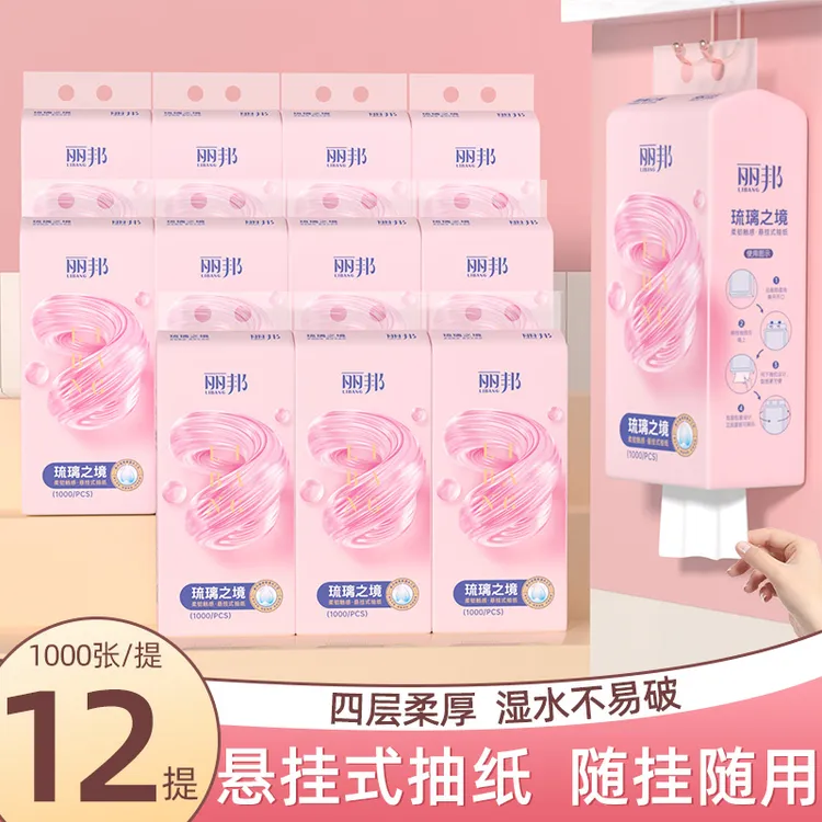 【12提】丽邦琉璃之境4层柔厚抽纸悬挂式纸巾1000张HZ2（含2个挂钩）