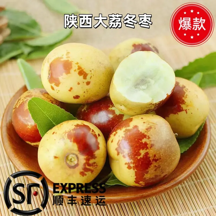 【自家果园现摘现发】新鲜陕西大荔冬枣1-3-5斤天然水果鲜脆甜正宗