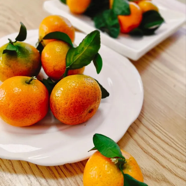 金秋沙糖桔露天高山种植汁水粑粑多、清甜口、现摘现发广西粑粑柑