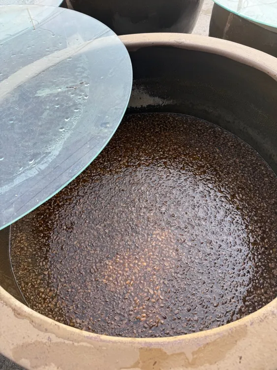 苏北老家黄豆酱 家的味道
