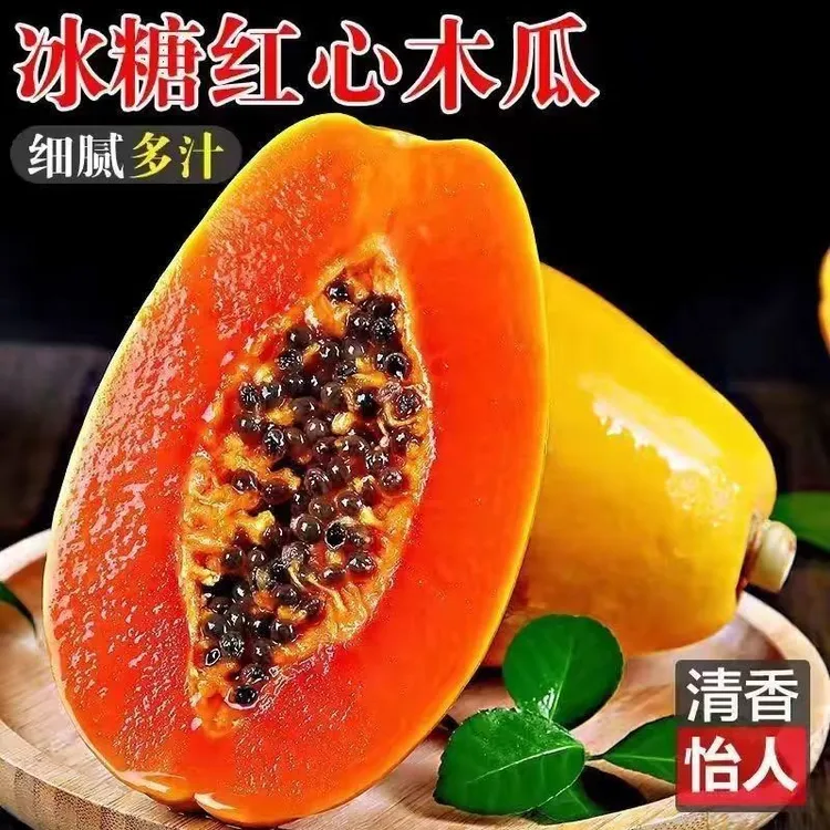 【树上熟  冰糖心木瓜】海南红心木瓜软糯细腻香甜可口多仓发货包邮