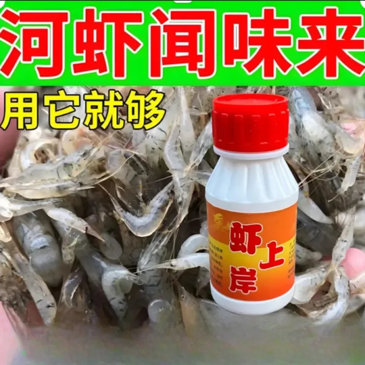 【虾上岸】老渔民捉虾必备饵料