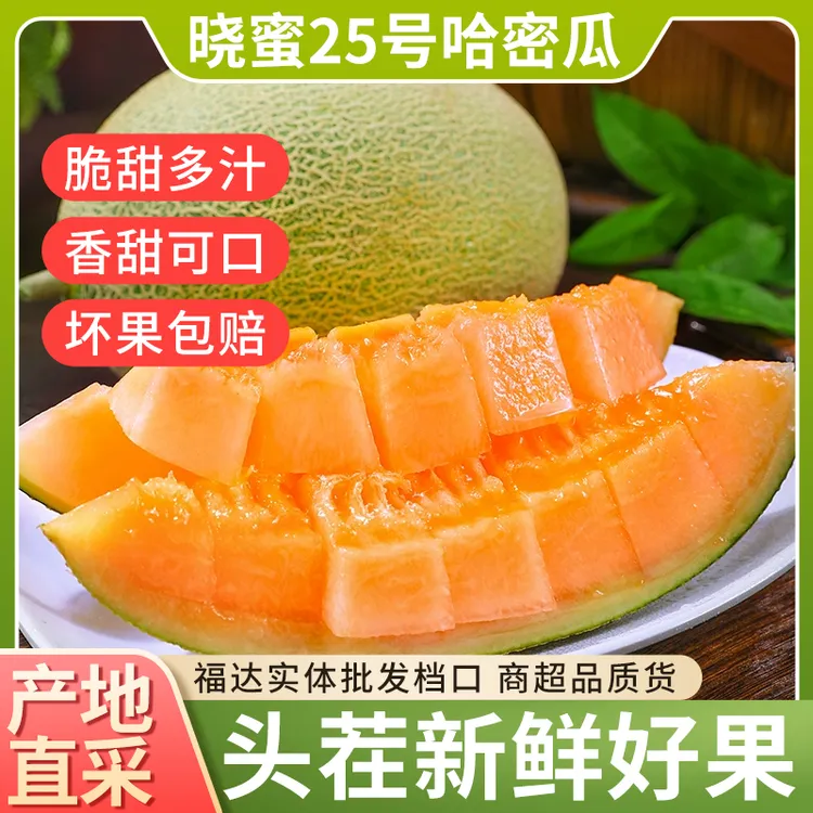 海南沙地哈密瓜头茬新鲜水果脆甜多汁产地直发当季晓蜜25号蜜瓜