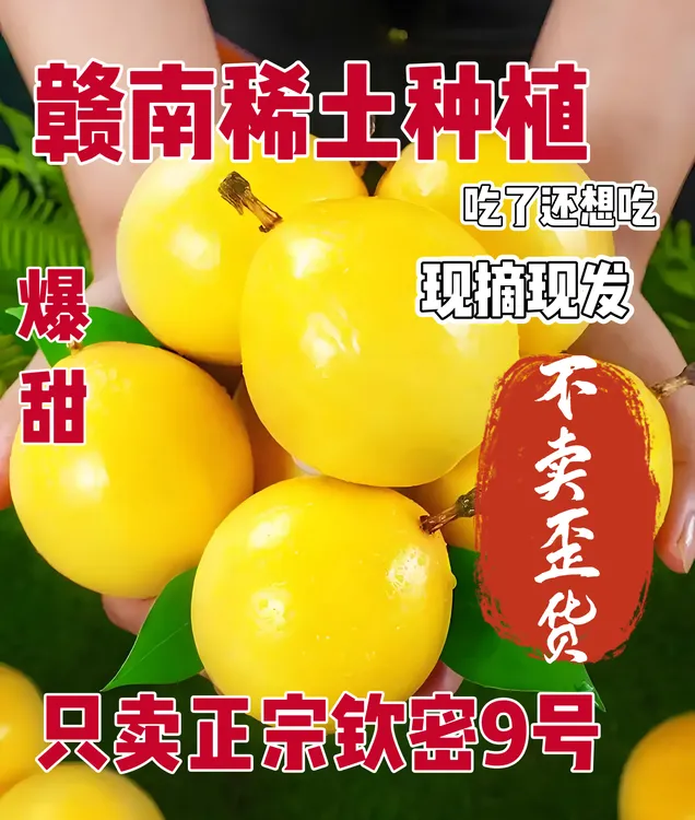 江西赣南新鲜钦蜜9号百香果香甜多汁营养丰富水果黄金维c现摘