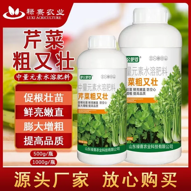 芹菜粗又壮芹菜拉长增粗嫩直预防空心高产芹菜专用中量元素水溶肥