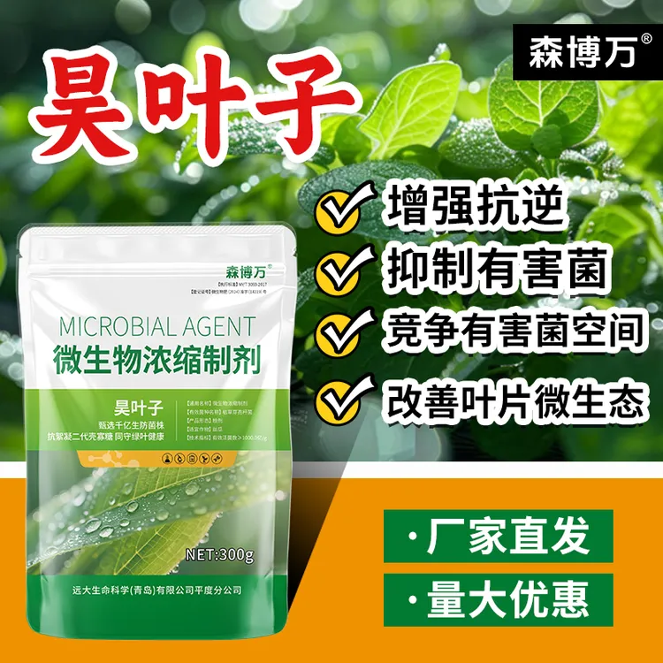 叶部生防菌剂昊叶子壳寡糖枯草芽孢杆菌千亿有益菌叶喷微生物菌剂