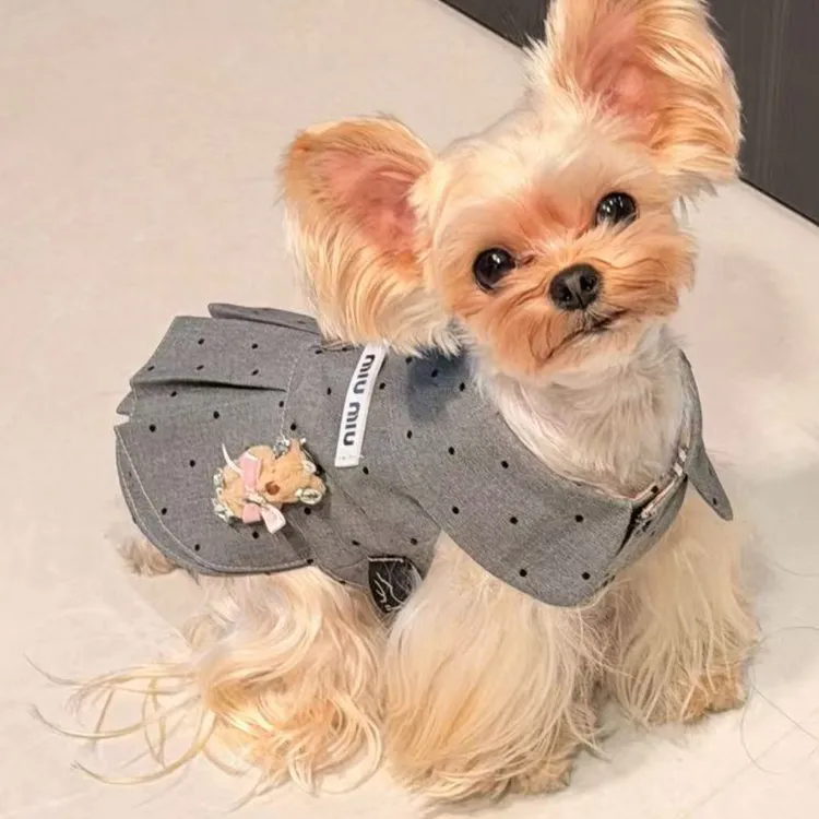 LNC原创宠物服饰秋冬新款西服裙子