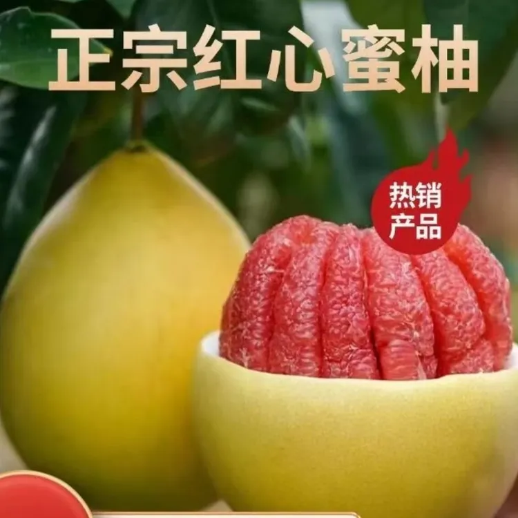 广东老树正宗红心蜜柚新鲜采摘皮薄多汁当季水果