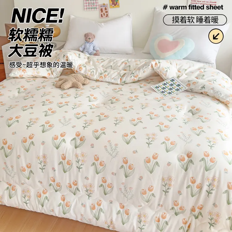 大豆纤维被春秋被冬被加厚保暖被芯学生被宿舍单人被双人被