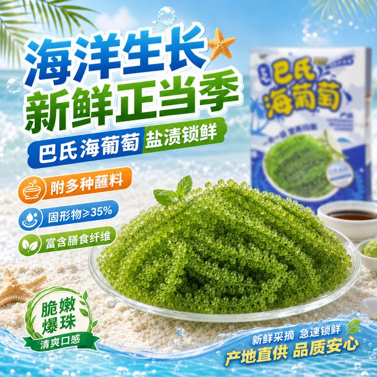 bibobibo小孩菜新鲜爆珠海葡萄海鲜海藻长寿菜绿色健康食材吃播商品图