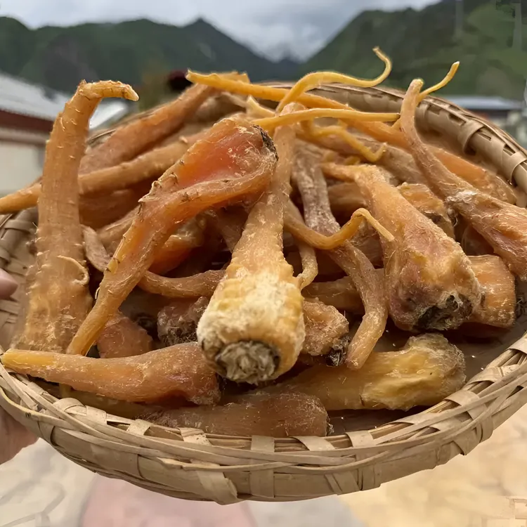 高山高海拔珍藏【藏雪参】250克 非百合