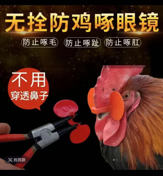 鸡防打架眼镜鸡防啄眼镜公鸡防打架眼镜防鸡互啄器防公鸡打架眼罩
