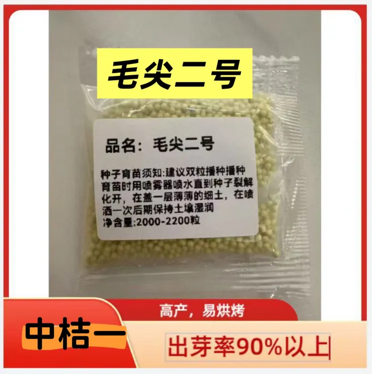 毛尖二号/产量高 抗病强 有效叶片25 适合多种环境下种植
